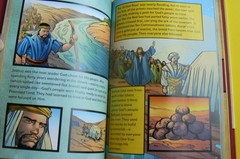 The Action Storybook Bible, NEW HC C.Devries,Sergio Cariello,David C.Cook Publ