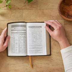 1611 KJV with Apocrypha, Brown Leathersoft: Holy Bible
