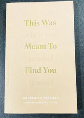 This Was Meant to Find You : When You Needed It Most Charlotte Freeman
