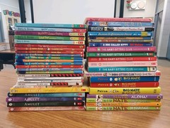 Mixed Lot of 45 Kids Graphix & Chapter Books RL4, Classroom Library Homeschool