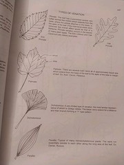 Manual of Woody Landscape Plants: Identification Ornamental Characteristics 5TH