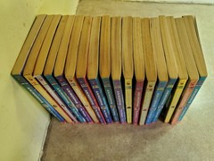 Lot of 18 Good Animorphs Paperback Books K A Applegate