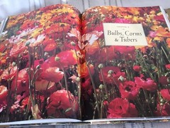 The Ultimate American Gardening Book Mynah 528 pages HB DJ Over 2200 Color Photo