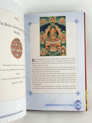 THE EGYPTIAN BOOK OF THE DEAD & TIBETAN BOOK OF THE DEAD Illustrated *Brand New*