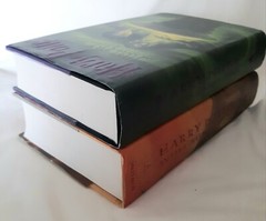 HARRY POTTER Lot of 2 Hardcovers 1st Edition 1st Print GIFT QUALITY