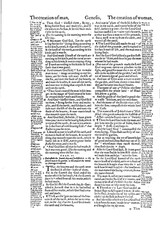 1560 &1599 Geneva Bible-Reformation Scripture CommentaryJohn Calvin & Beza-on CD