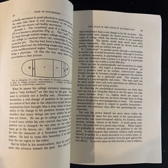 Principles of Topological Psychology by Kurt Lewin, VERY GOOD CONDITION