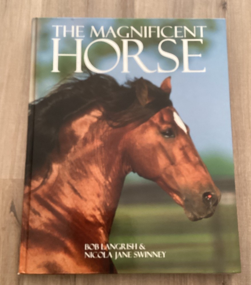 Magnificent Horse Large Book (Hardcover)