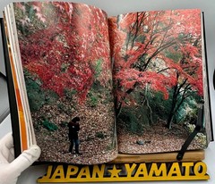 HIROMIX PHOTO BOOK HIROMIX WORKS Best Selection 5 Years 2000 Japan Art