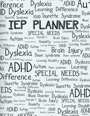 IEP Planner: Special Education Planner for Teachers, 184 Pages, Soft Cover, …