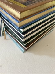 The Royal Diaries And Dear America Hardcover Books Historical Fiction Lot Of 8