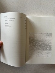 A Different Jesus? Robert L. Millet 2005 Paperback Comparative Theology Eerdmans