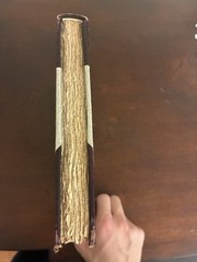 1905 First Edition Sir Walter Raleigh by Henry David Thoreau 1 Of 489 Copies