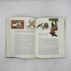 James Fisher & Roger Tory Peterson’s WORLD OF BIRDS Revised HC Cream DJ 192