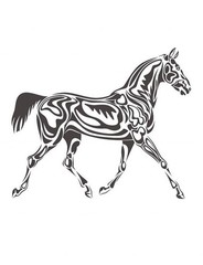 the Horses Coloring Book the best horse book 108 Pages 8.5 x 11 for All Ages