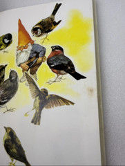 Gnomes by Huygen & Poortvliet 1977 1st Edition Signed by Author & Illustrator HC