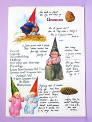 Gnomes by Wil Huygen Illustrated by Rien Poortvliet 1977 Vintage Hardcover DJ