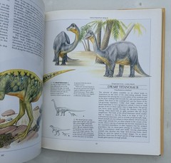 The New Dinosaurs: An Alternative Evolution by Dougal Dixon HCDJ 1st