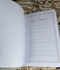 ESV Large Print Value Thinline Bible (Trutone, River Stone, Branch Design): New