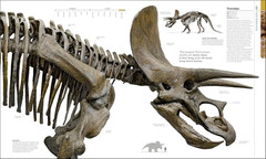 Dinosaurs and Prehistoric Life: the Definitive Visual Guide to Prehistoric Anima