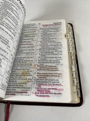 Holy Bible NKJV Giant Print by Nelson Publishers 334BC Leather Binding Index Tab