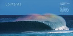 Clark Little: The Art of Waves, Little, Clark, Excellent Book