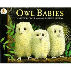 Owl Babies – Paperback By Waddell, Martin – GOOD