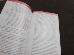 The Word Among Us Daily Meditations Pdpraying With Jesus Lent 2023