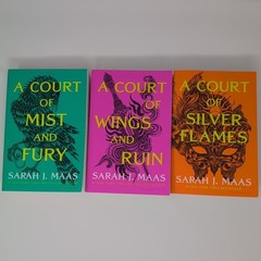 Lot of 3 Court of Wings and Ruin Mist And Fury Silver Flames by Sarah J. Maas