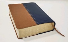 NIV, KJV, Parallel Bible, Large Print, Leathersoft, Navy/Tan.