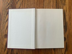 Gift Quality – 1st Edition of Wigger by William Goldman Hardcover w DJ