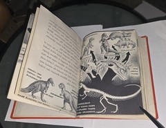 DINOSAURS True First Edition 1954 by Herbert S Zim Hardcover RARE School Library