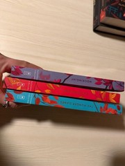The Hunger Games Trilogy Deluxe Edition Paperback Box Set