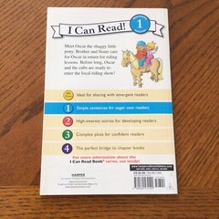 I Can Read Level 1 Ser.: The Berenstain Bears and the Shaggy Little Pony by Jan