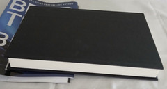 Black Ice A Thriller By Brad Thor Hardcover 325 Pages