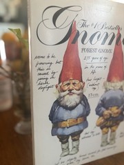 The #1 Bestseller Gnomes Forest Gnome Paperback Book