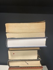 World War II Europe Nazi Germany Hitler Holocaust Third Reich – Book Lot Of 12