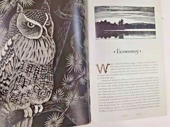 THE ILLUSTRATED WALDEN or Life in the Woods Henry David Thoreau Illustrated NEW