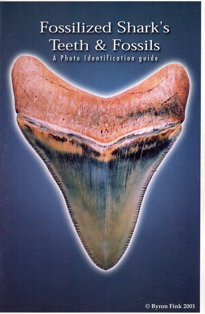 Fossilized Shark’s Teeth & Fossils: A Photo Identification Guide