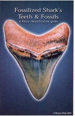 Fossilized Shark’s Teeth & Fossils: A Photo Identification Guide