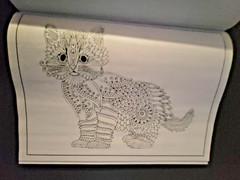 Cat Coloring -32 Spring-Inspired Designs-Relaxing & Inspirational Adult Coloring
