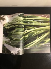 Yotam Ottolenghi Plenty Ebury Press 2010 First Ed. HC LN Cookbook