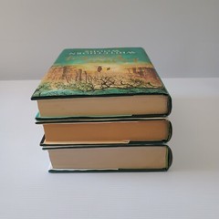 Maeve Binchy 3x Bundle 1st Edition Hardcover Whitethorn Woods Quentins Tara Road