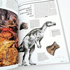 Australian Age of Dinosaurs Journal Iron Dragon Issue 17 Free Postage