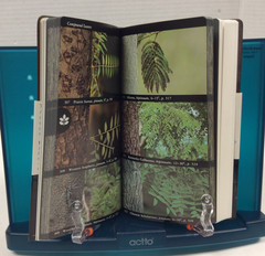 NATIONAL AUDUBON SOCIETY FIELD GUIDES – TREES, BIRDS, FOSSILS & WEATHER PBs