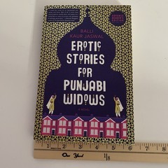 A NOVEL: EROTIC STORIES FOR PUNJABI WIDOWS BY BALLI KAUR JAISWAL 2017 ENGLISH