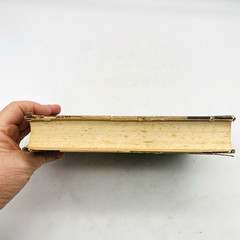The History of Wharton County Texas 1846-1961 Annie Lee Williams Hardcover DJ