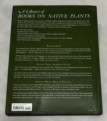 Native Ferns, Moss, & Grasses Book by William Cullina