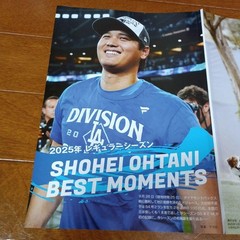 Weekly Josei October 21st and 28th 2025 issue special supplement: Best p #QY6V8F