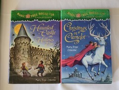 14 MAGIC TREE HOUSE chapter Books Dragon Ghosts Magicians Osborne HARDCOVERS C8